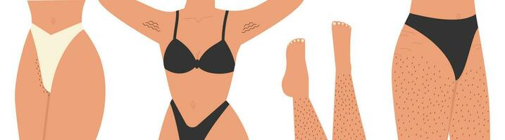 donna unshaved peloso corpo illustrazione impostare. corpo positivo vettore