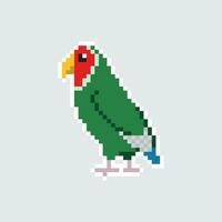 pixel arte pappagallo illustrazione vettore