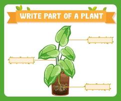 scrivi parti di un foglio di lavoro per piante per bambini vettore