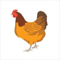 gallina colore piatto clip art design vettore