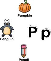 alfabeto lettera p-zucca, pinguino, illustrazione a matita vettore