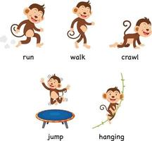 illustrazione vettoriale di vocabolario scimmia dei cartoni animati