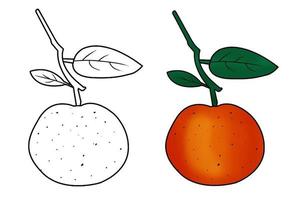 illustrazione vettoriale di frutta arancione disegnata a mano