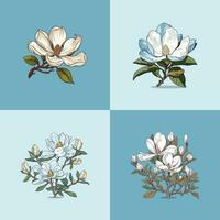 magnolia vettore clip arte illustrazione