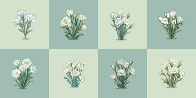 lisianthus vettore clip arte illustrazione