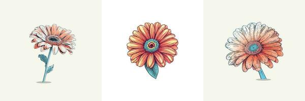 gerbera vettore clip arte illustrazione