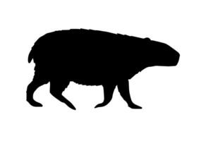 vettore piatto nero capibara silhouette