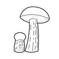 fungo - arancia berretto porcini, spugnoso fungo. vettore nero bianca schema illustrazione. design elementi o pagina di figli di colorazione libro