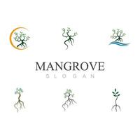 mangrovia logo icona vettore