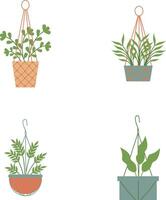 sospeso in vaso pianta con diverso genere pianta. vettore illustrazione impostare.