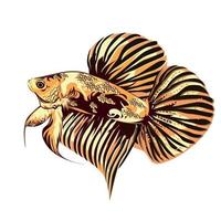 immagine vettoriale illustrazione di pesce betta