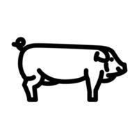 autoctono maiale razza linea icona vettore illustrazione