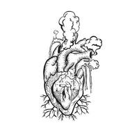 illustrazione cuore anatomico con fumo vettore