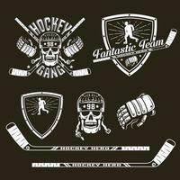 emblema squadra di hockey vettore