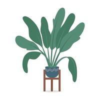 pianta tropicale in vaso con foglie grandi oggetto vettoriale di colore semi piatto