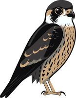 astratto cacciatore simbolo di ombre occhi di il Soaring aviaria predatore emblematico arte vettore