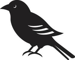 corvi maestà monogramma Soaring gabbiano design vettore