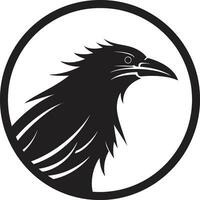 astratto nero corvo monogramma elegante Corvo silhouette design vettore