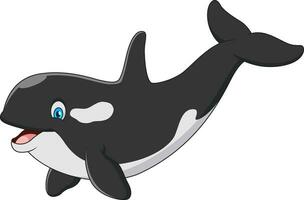 carino orca portafortuna cartone animato illustrazione vettore