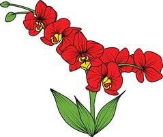 rosso orchidea ramo vettore fiore, illustrazione di bellissimo rosso orchidea fiore