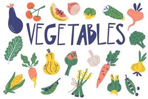 insieme di verdure. cibo salutare. verdure fresche deliziose disegnate a mano vettore