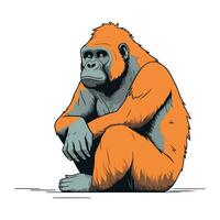 gorilla seduta e guardare a il telecamera. vettore illustrazione.