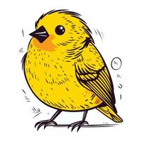 vettore mano disegnato illustrazione di carino poco giallo uccello. isolato su bianca sfondo.