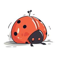 coccinella. carino mano disegnato vettore illustrazione. isolato su bianca sfondo.