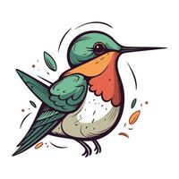 vettore illustrazione di un' colibrì isolato su bianca sfondo. mano disegnato cartone animato stile.