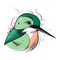 illustrazione di un' colibrì isolato su un' bianca sfondo vettore