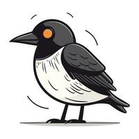 corvo. vettore illustrazione di un' uccello su un' bianca sfondo.
