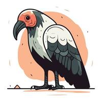vettore illustrazione di un' avvoltoio. selvaggio uccello nel cartone animato stile.