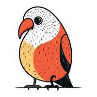 vettore illustrazione di un' rosso pappagallo isolato su un' bianca sfondo.