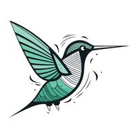 colibrì vettore illustrazione. mano disegnato colibrì isolato su bianca sfondo.