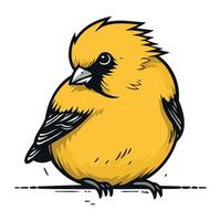 vettore illustrazione di un' giallo uccello. isolato su bianca sfondo.