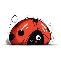 cartone animato coccinella. vettore illustrazione di un' carino coccinella.