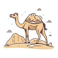 cammello nel deserto. vettore illustrazione nel scarabocchio stile.