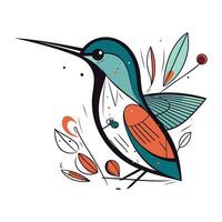 colibrì. mano disegnato vettore illustrazione nel scarabocchio stile.