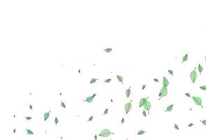sfondo di doodle di vettore verde chiaro.
