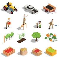 set isometrico di raccolta agricola vettore