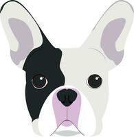 francese bulldog cane isolato su bianca sfondo vettore illustrazione