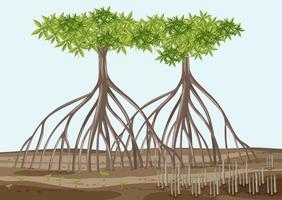 scena con alberi di mangrovie in stile cartone animato vettore