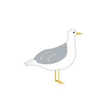 carino cartone animato gabbiano. vettore illustrazione mare uccello. divertente personaggio isolato su un' bianca sfondo.