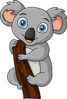 carino koala cartone animato su un' albero ramo vettore
