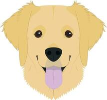 d'oro cane da riporto cane isolato su bianca sfondo vettore illustrazione