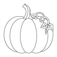 zucca schema con vite e foglia, zucca colorazione pagina, zucca icona, autunno cartone animato zucca, vettore illustrazione