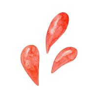 acquerello anguria spruzzi clipart, estate maturo frutta. anguria festa vettore
