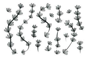 impostato di vettore isolato decorativo nero rami con le foglie. collezione di botanico ramoscelli, schizzo stile.