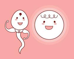 sperma e uovo. illustrazione vettoriale. vettore
