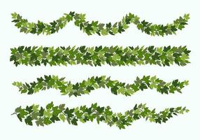 edera festoni e frontiere, verde pianta rampicante decorativo divisori isolato su bianca sfondo. vettore illustrazione nel piatto cartone animato stile